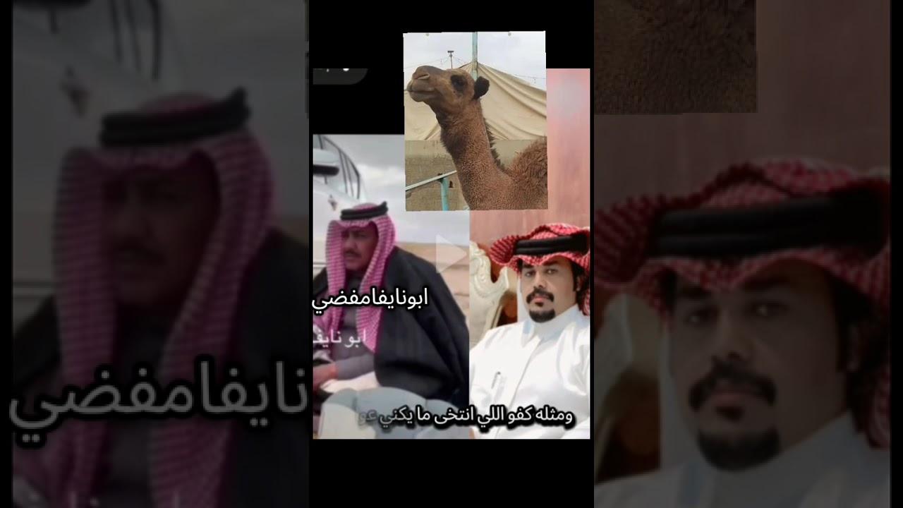 روس الغافل والنايفات حضرني لعيونهم سمعوصداها بالاخبار 