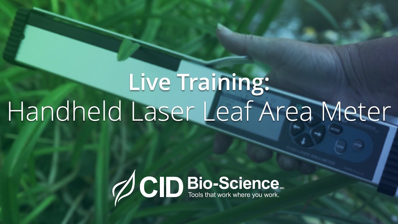 CI-203 Handheld Laser Leaf Area Meter Live Training