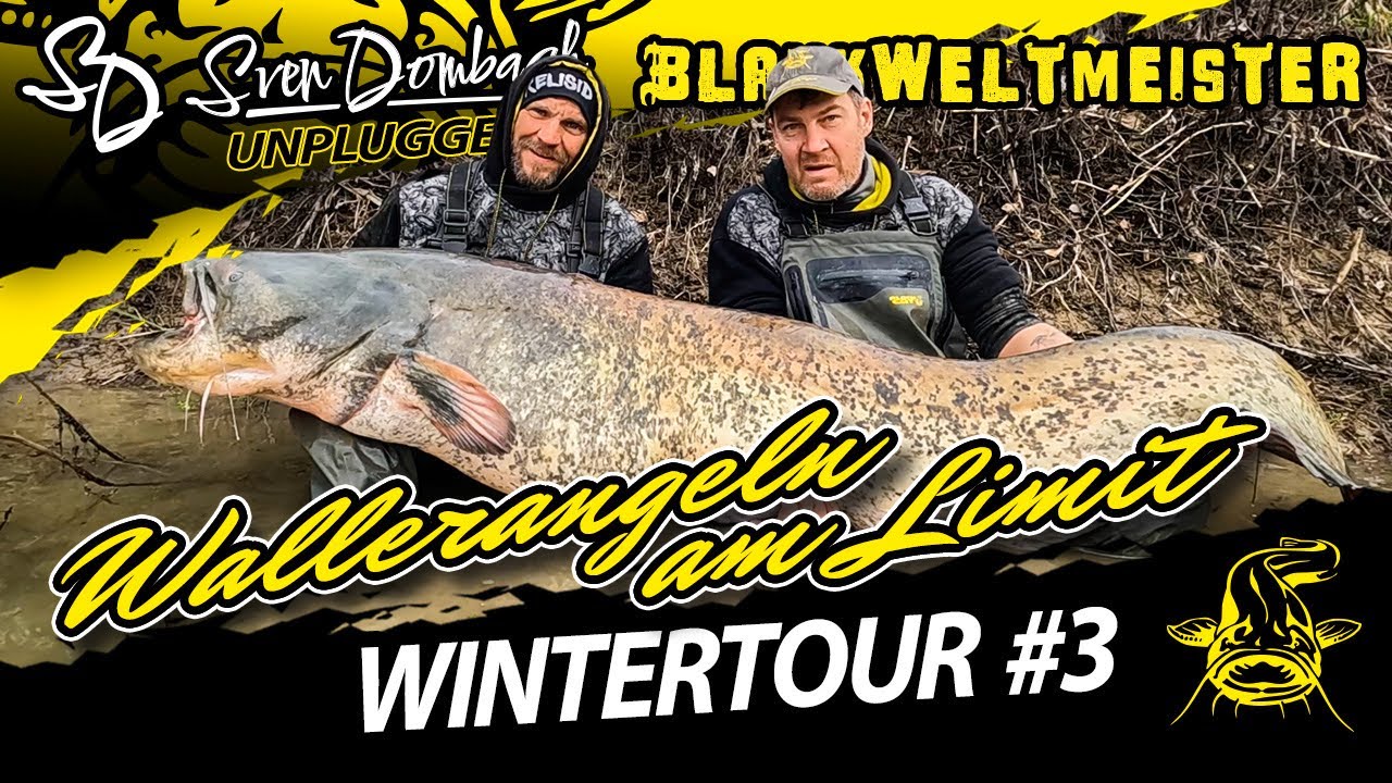 Wallerangeln am Limit | Winterfischen auf Wels Teil 3 | Blankweltmeister