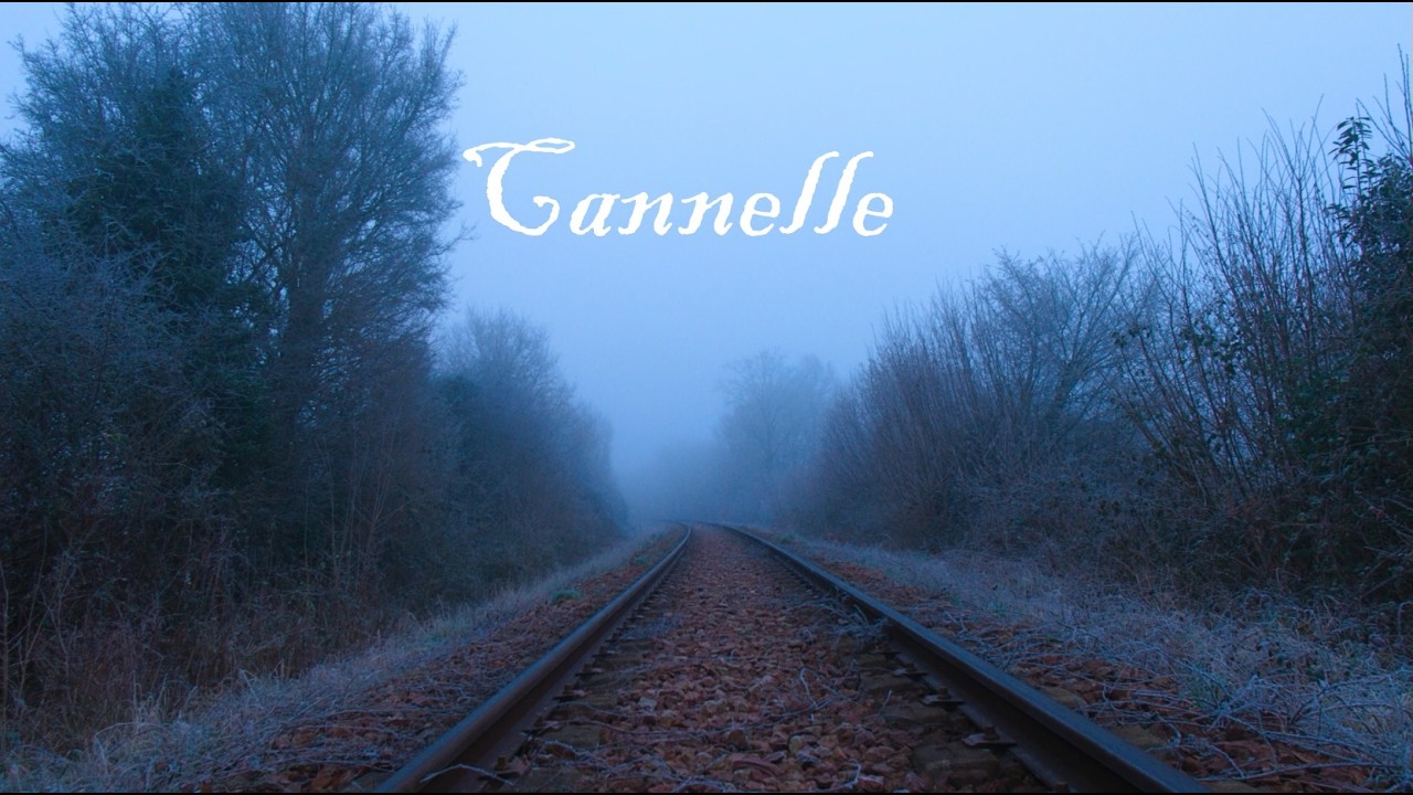 Cannelle