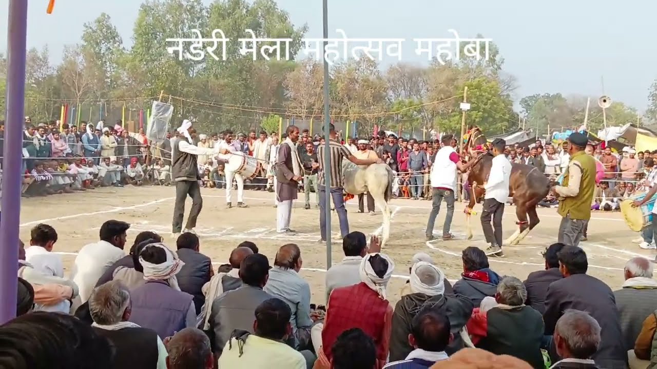  मेला महोत्सव महोबा अशोक महाराज सलाट, भुनेंद्र यादव नडेरी घोड़े का कंपटीशन
