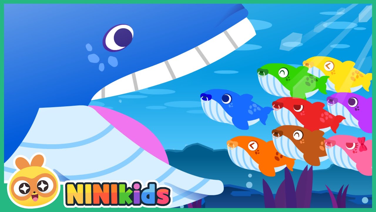 A Baby Whale Is Born! | meeting mom's whale | Baby | Learn Colors for Kids | Toddlers | NINIkids