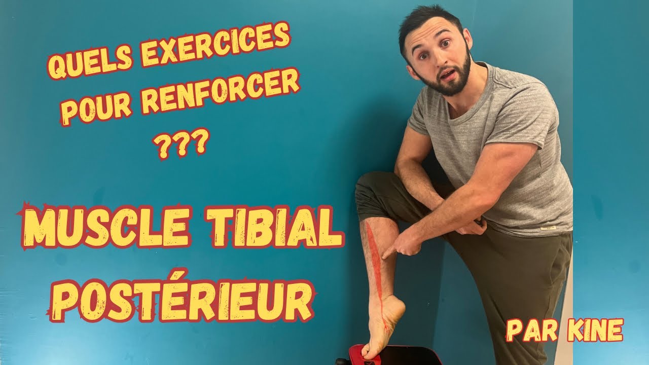 Comment renforcer le muscle TIBIAL POSTÉRIEUR ?