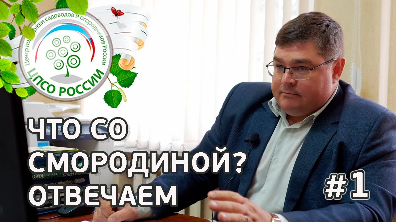 #1 ЧТО СО СМОРОДИНОЙ??? Что нужно сделать со смородиной ранней весной.
