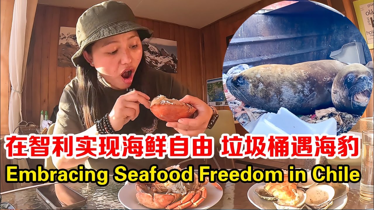中国妹子独自背包环游南美洲，在智利蒙特港，再次实现海鲜自由！【张猫猫历险记】