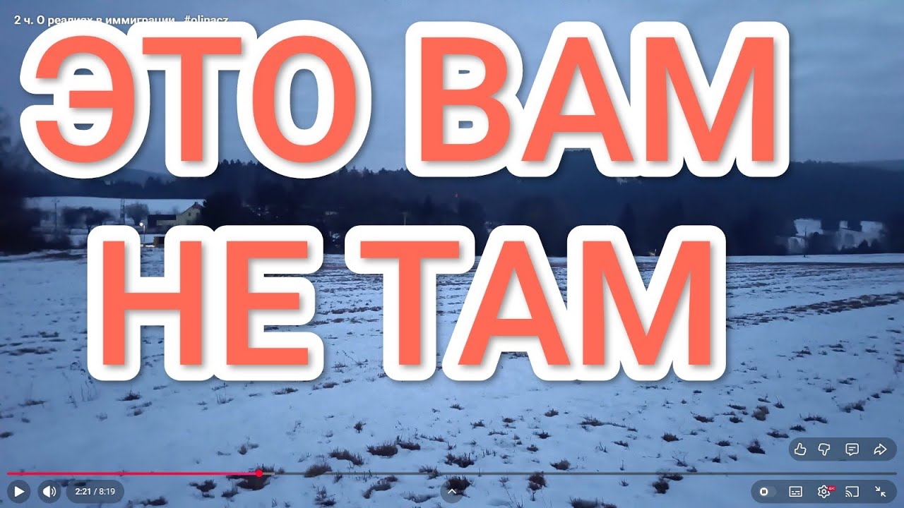 2 ч. О реалиях в иммиграции   #olinacz
