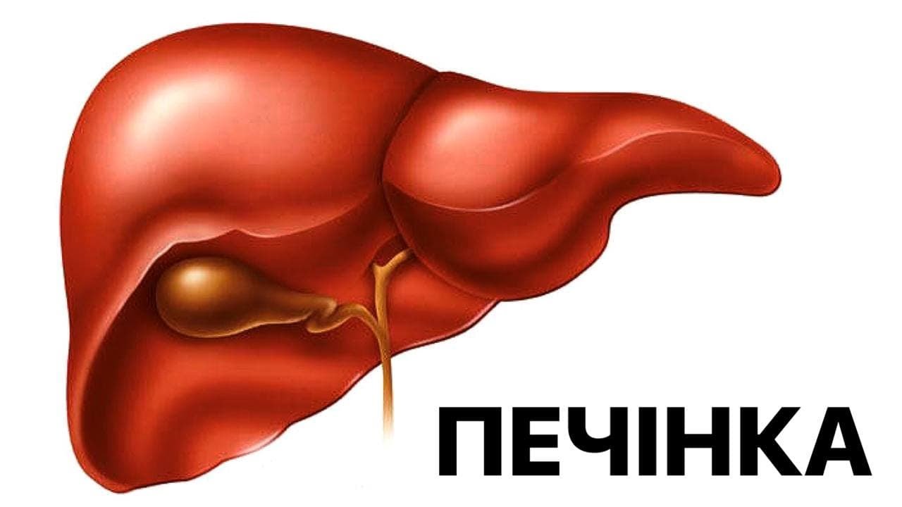 ПЕЧІНКА та ЖОВЧНИЙ МІХУР