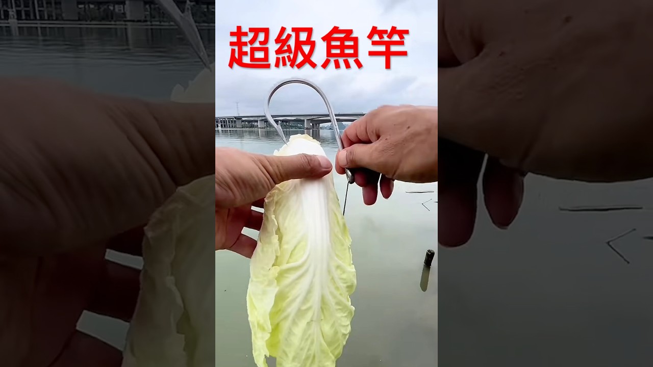 你絕對沒見過的魚竿（如果見也是在我之前的視頻里），你沒見過的浮漂，甚至你沒見過的魚餌。今天又給了一個大大的黑漂！你們猜一下得多大的魚啊？#釣魚視頻#路亞釣魚#另類釣魚#礦泉水瓶#浮漂