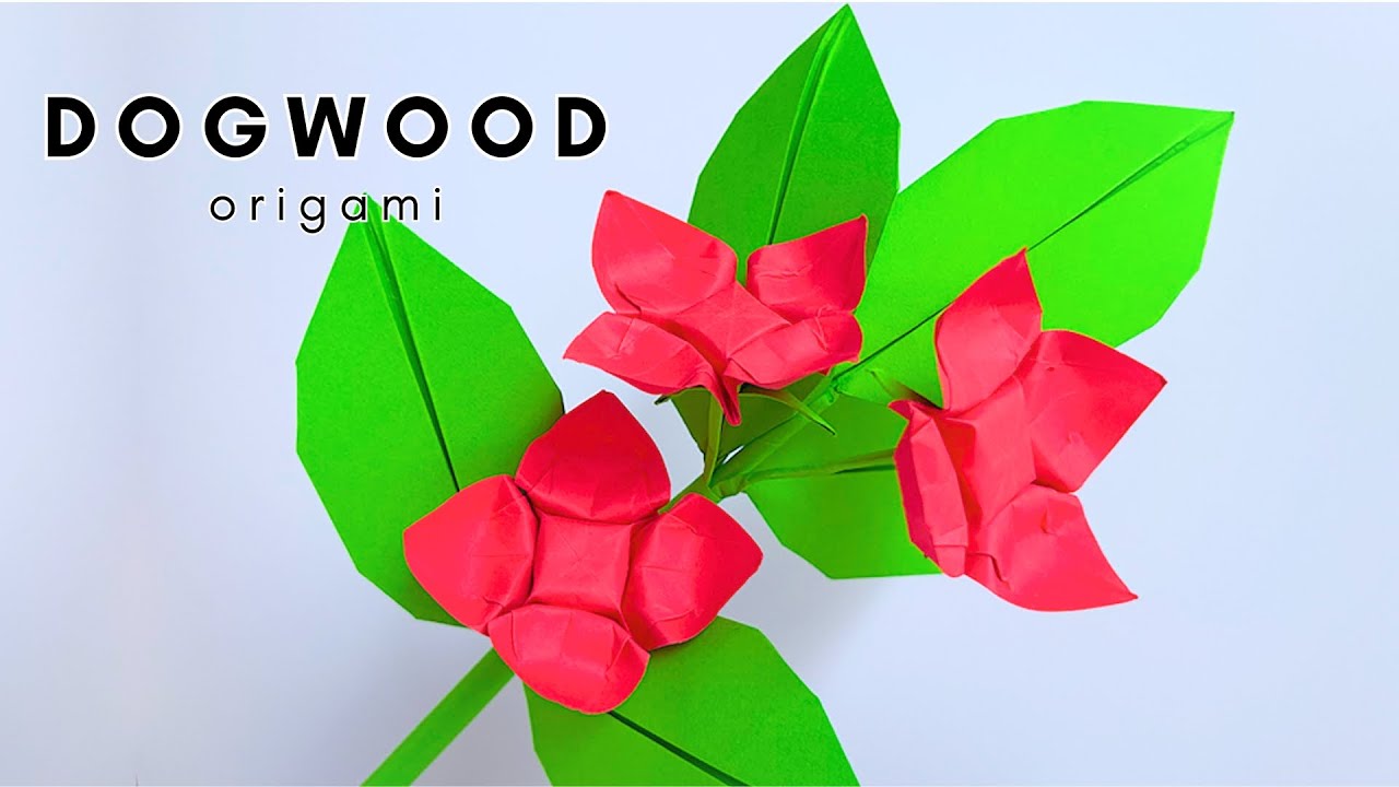 🌸 Origami Flower: DOGWOOD | Beautiful Paper Flower Tutorial