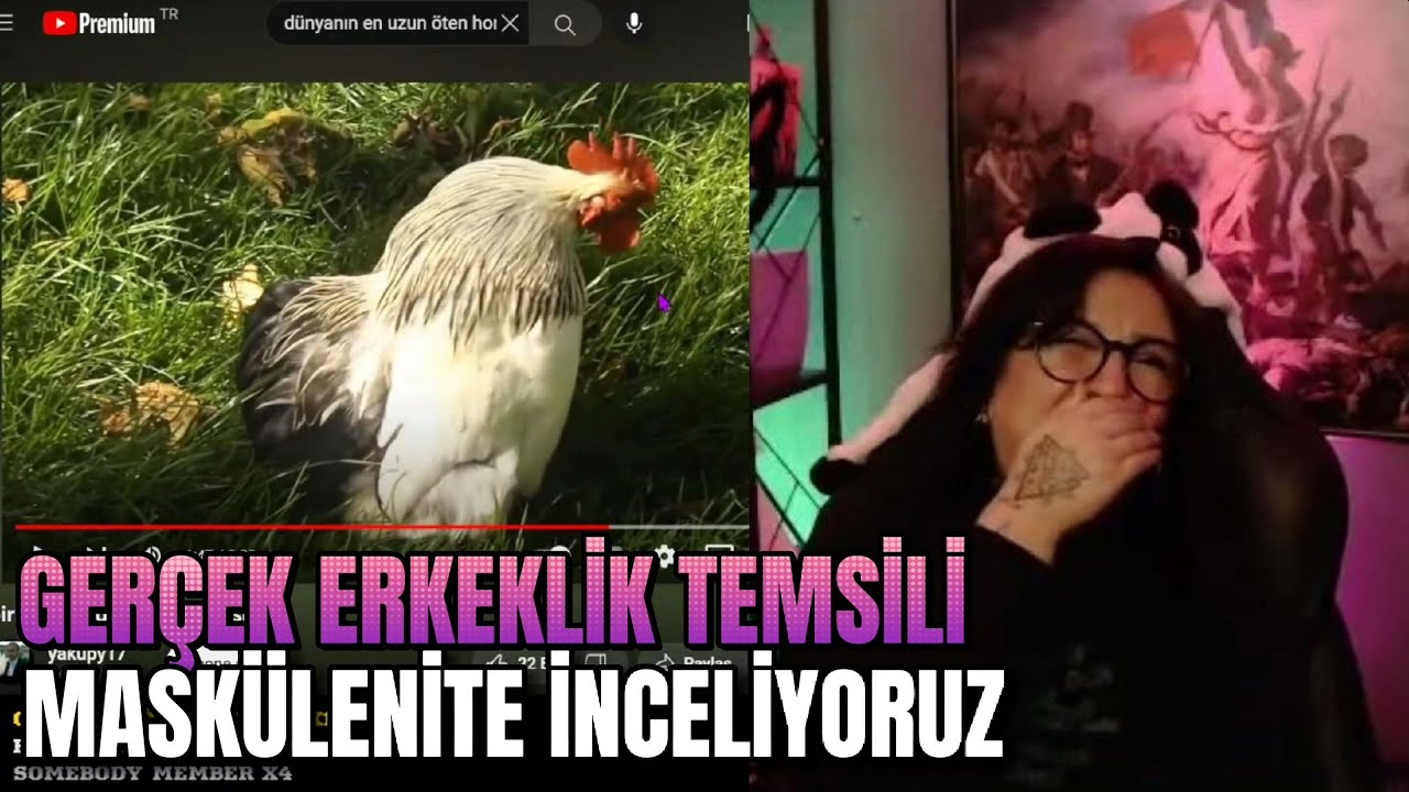 UzayZuhal Horoz Videoları İzliyor
