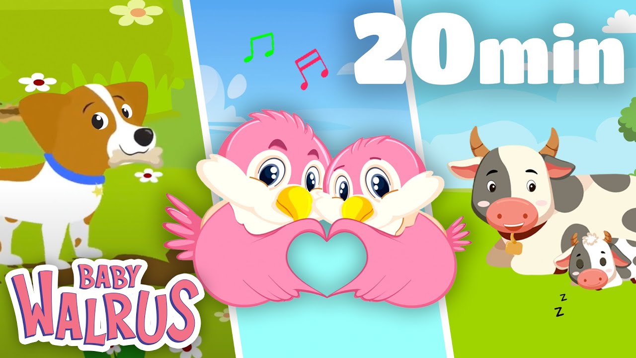 Këngë Gazmore për Fëmijë – Përmbledhje Argëtuese! 🧸 🎶