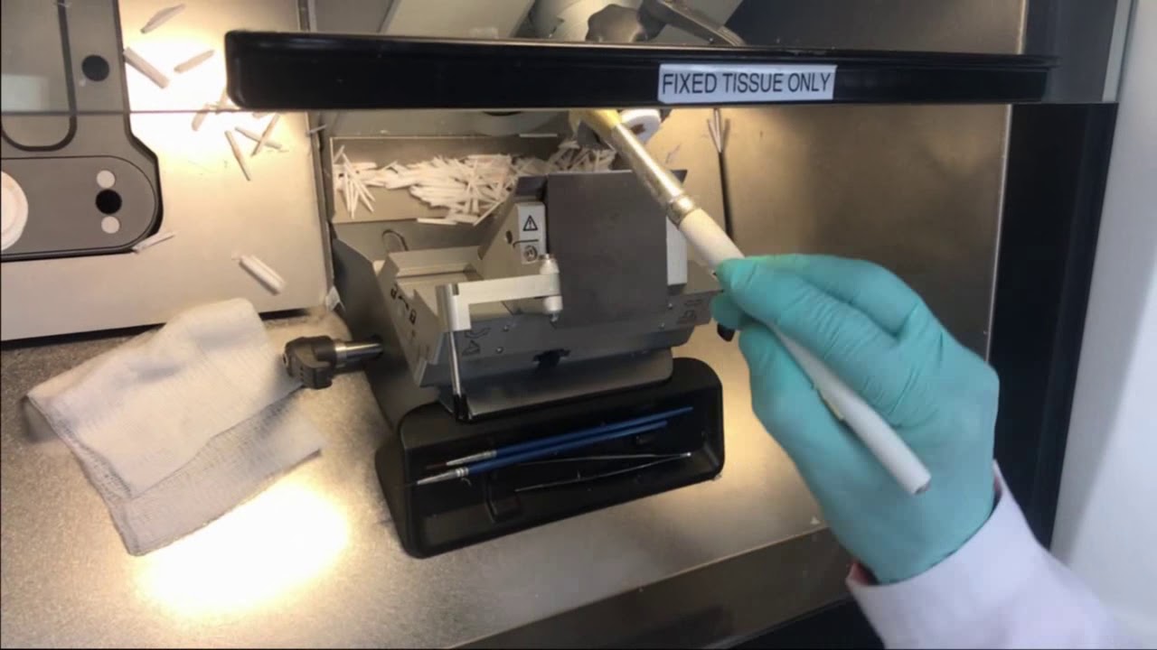 Histology Tips: Cleaning Debris from the Microtome
