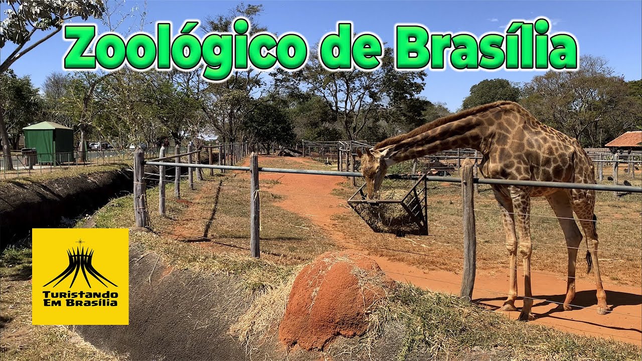 🐘 Jardim Zoológico de Brasília 2023