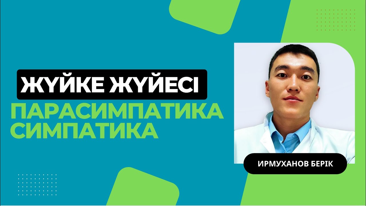 Жүйке жүйесі | СИМПАТИКА / ПАРАСИМПАТИКА ЖҮЙЕСІ