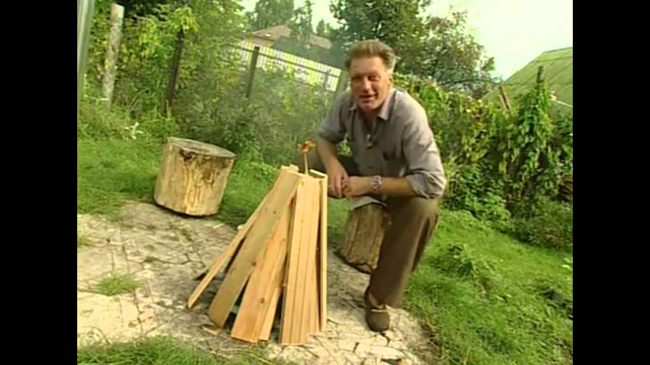 Фазенда RYTP