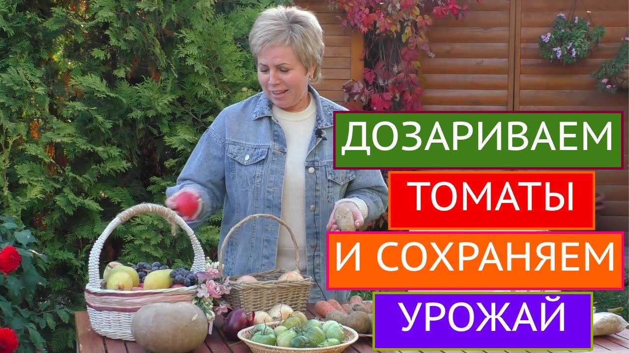 КАК СОХРАНИТЬ УРОЖАЙ ПОМИДОР И ДРУГИХ ОВОЩЕЙ И ФРУКТОВ!!!