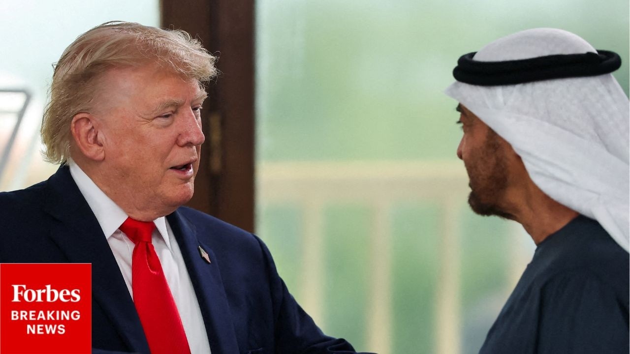 Трамп шейху ОАЭ: &laquo;Видите, когда вы так богаты, вы можете говорить так низко&raquo;.