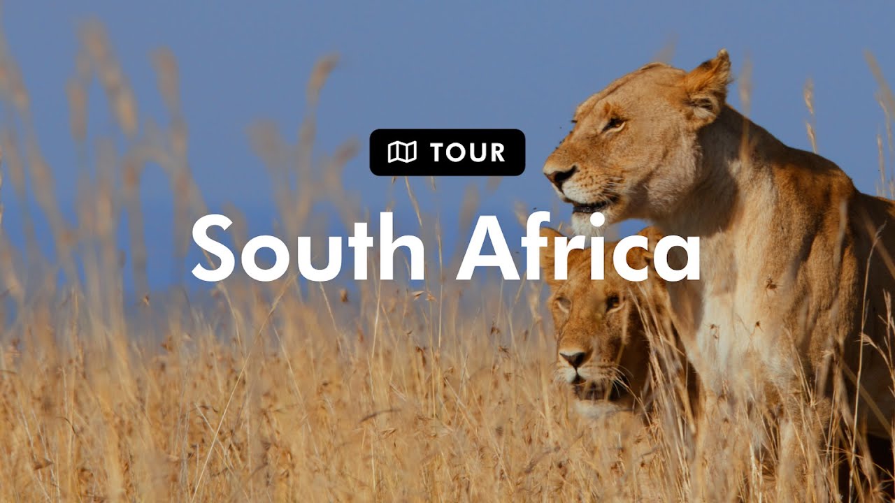 TripADeal - Tour South Africa