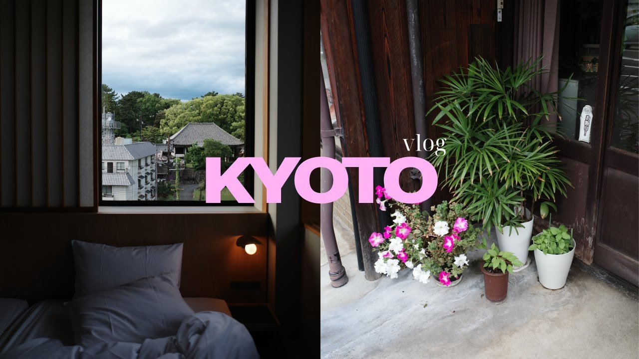 Vlog. 나 혼자 3박 4일 교토 브이로그 👒🍃🕊️ I 사슴이 내려다 보이는 숙소, 여름 냉우동, 인생 텐동집, 350년이 넘은 문구점, 아라시야마
