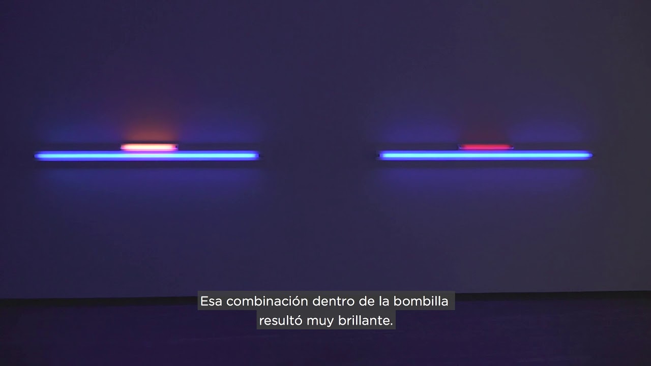 Dan Flavin por Katharine J. Wright
