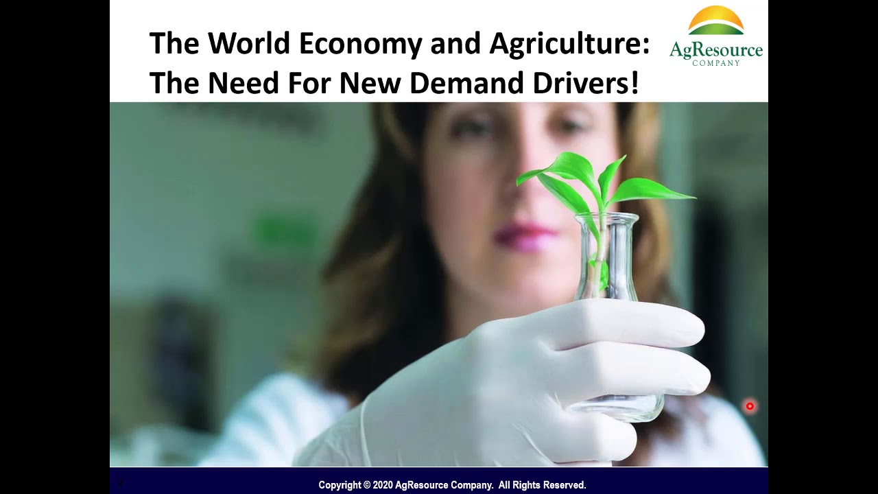 Global Grain Outlook 2020:  Production Growth Outpacing Consumption Growth