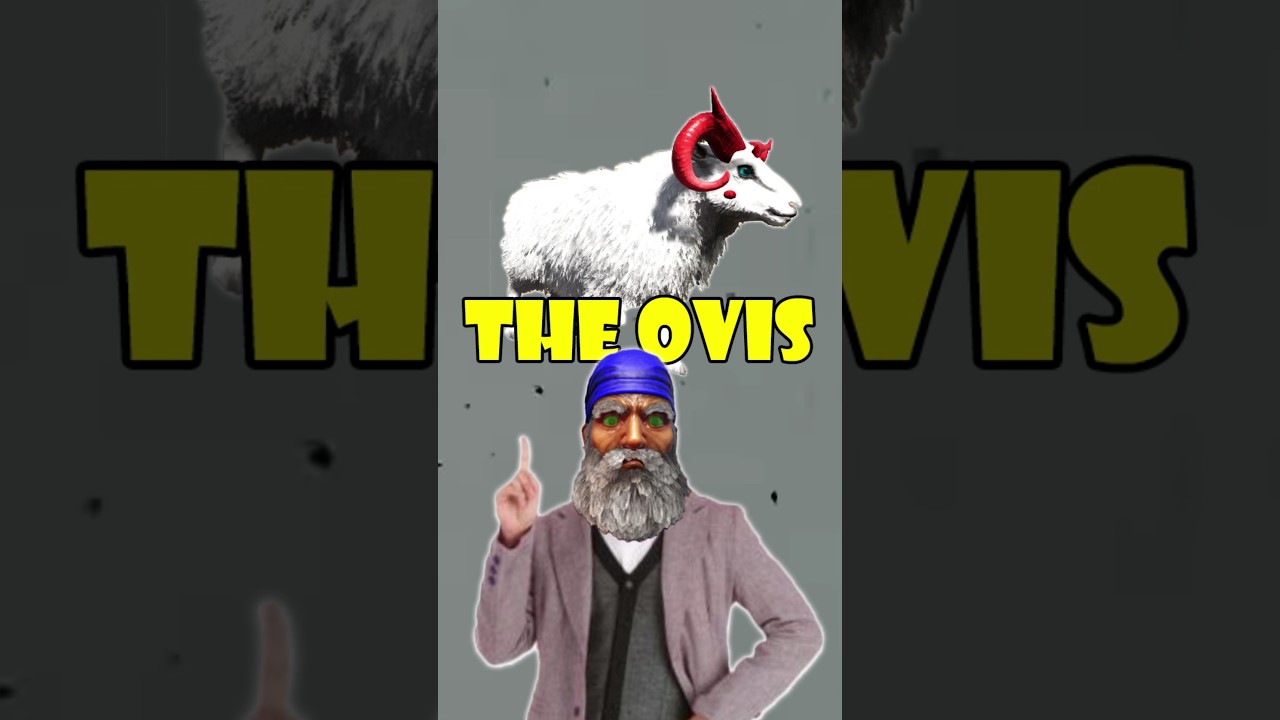 Ark Ovis🐏