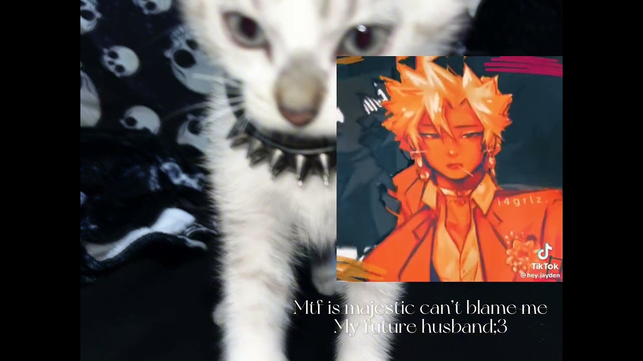 Class 1-A +aizawa react  to bakugo … (( MHA MANGA SPOILERS ))-(( angst))