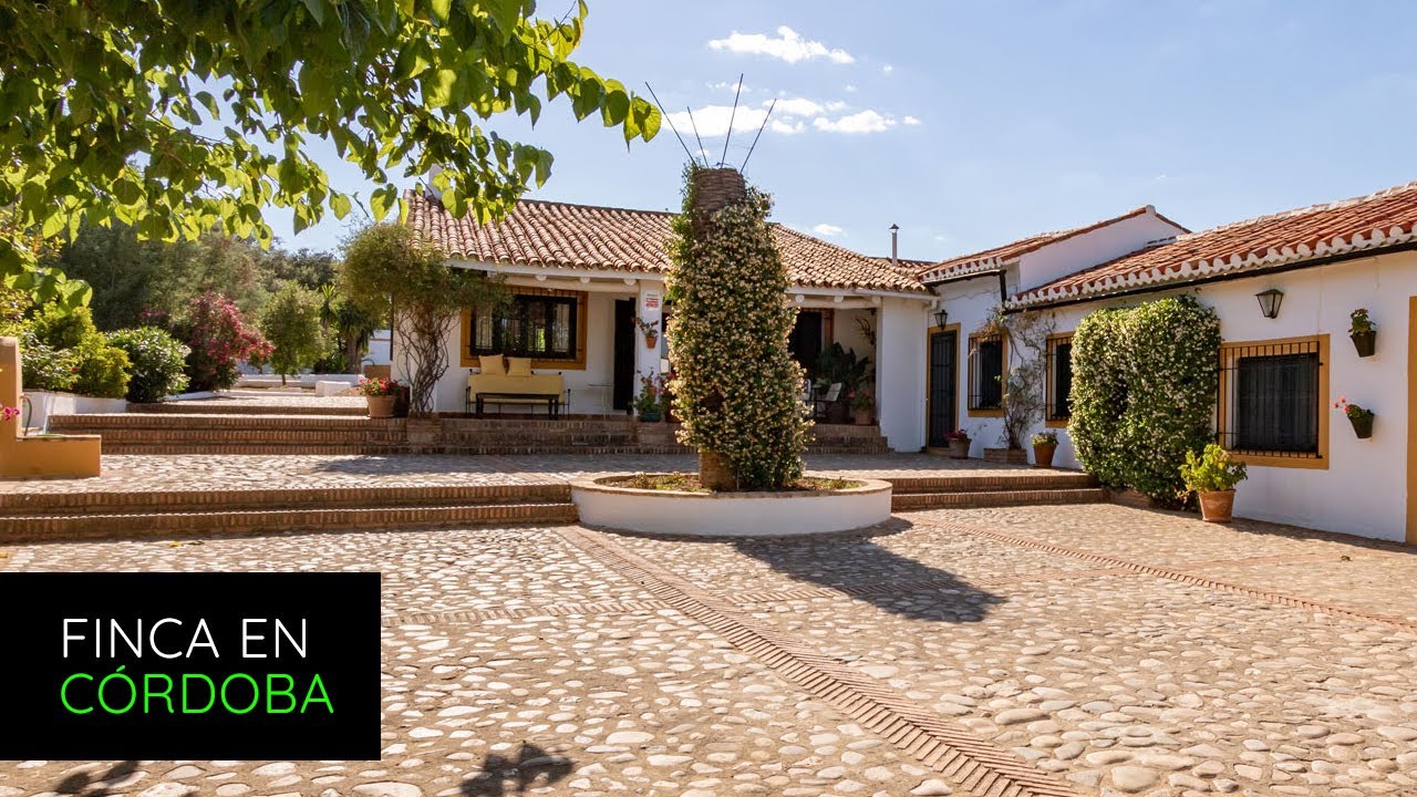 Finca rústica de 105 hectáreas en venta en Villaviciosa de Córdoba | P2834 | Vendida