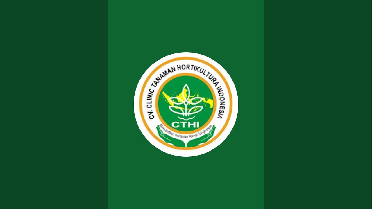 🔴 UPDATE HARGA BAWANG TERBARU 🔴