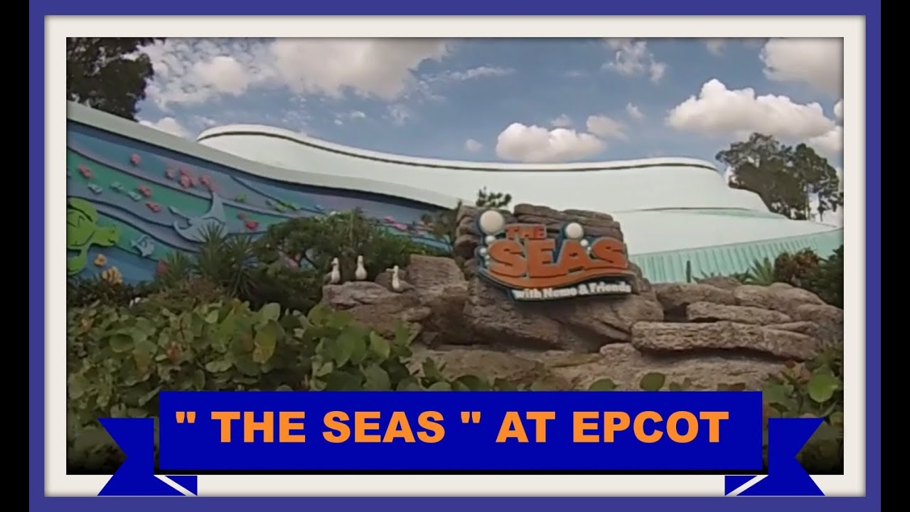 " THE SEAS " AT EPCOT