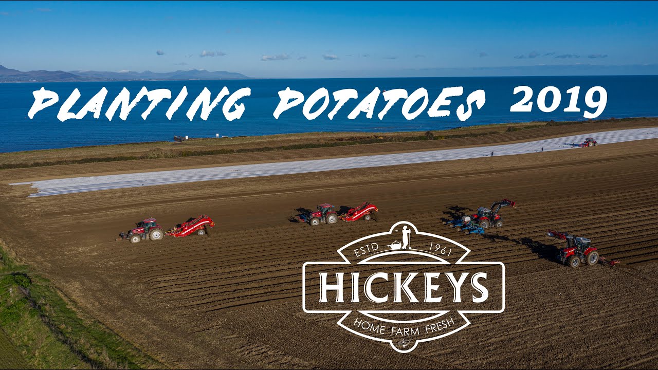 Hickeys Planting Potatoes 2019