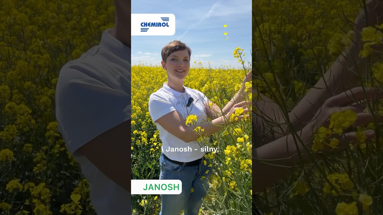 Janosh #Rzepak #Zimotrwałość #WigorJesienny #Chemirol