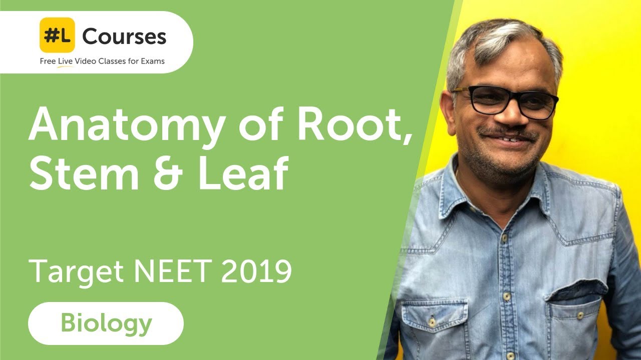 Anatomy of Root, Stem and Leaf | Anatomy of Flowering Plants | Biology | Target NEET 2019 | Day 85