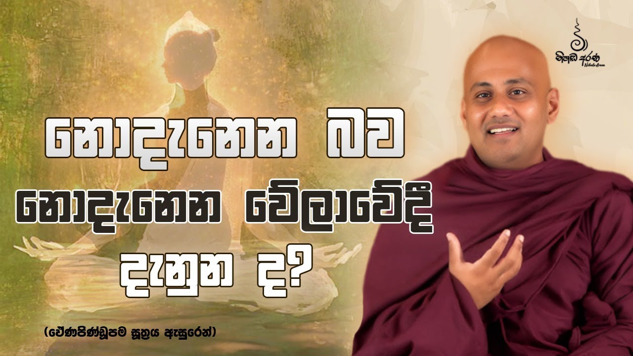 නොදැනෙන බව නොදැනෙන වේලාවේදී දැනුනද? - Ven Aluthgamgoda Gnanaweera Thero | නිහඬ අරණ
