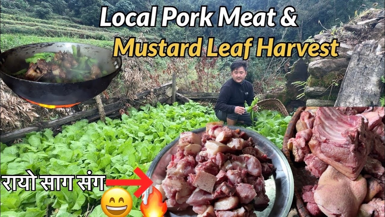 सुंगुरको मासु र रायो साग🤤 | Local Pork & Green Mustard recipe | Authentic Nepali Cooking Pork & Sag