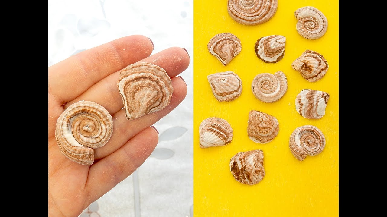 КАК СДЕЛАТЬ МРАМОРНЫЕ РАКУШКИ ИЗ МАСТИКИ от SWEET BEAUTY СЛАДКАЯ КРАСОТА, PASTIAGE SHELLS