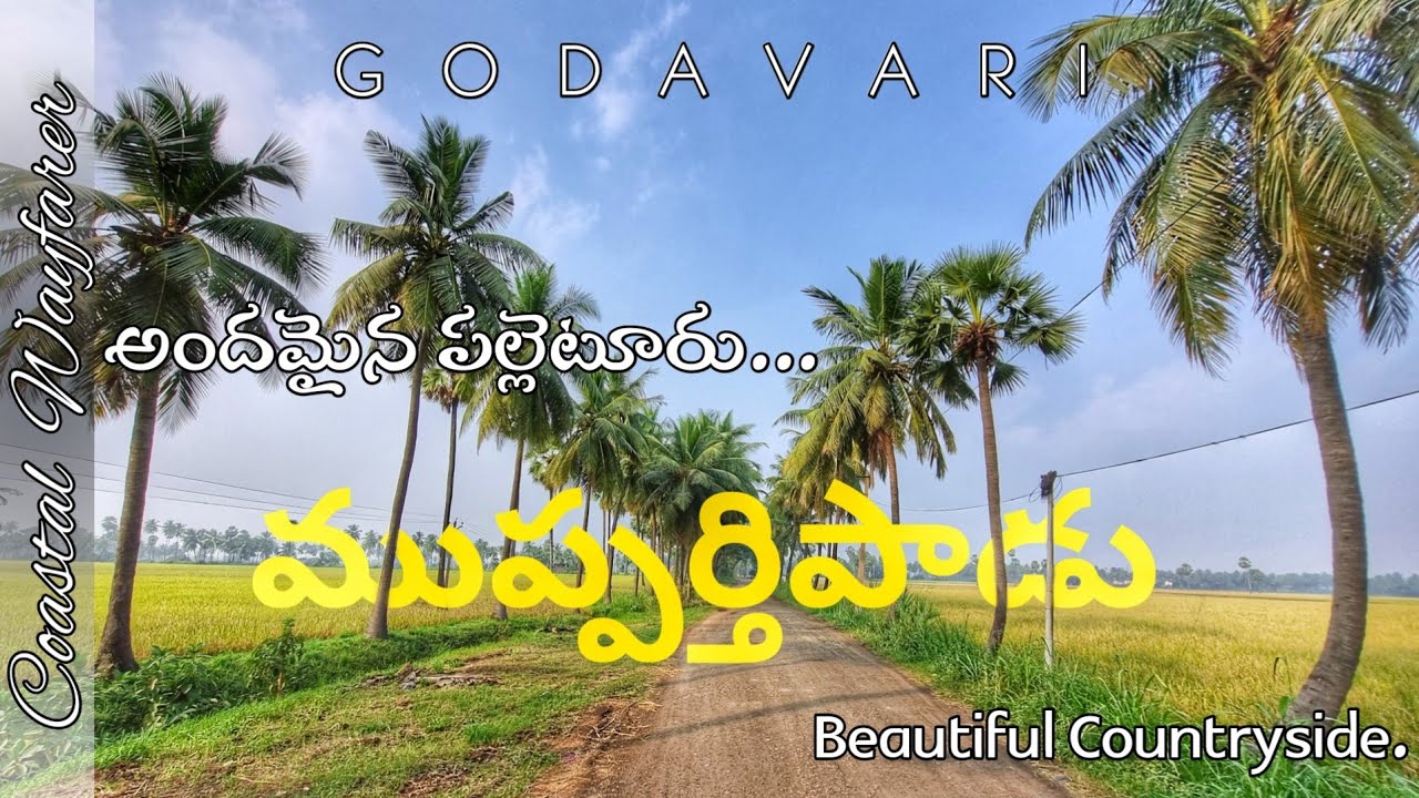 Beautiful Countryside Mupparthipadu, Eluru district, AP | Coastal Wayfarer | #countryside