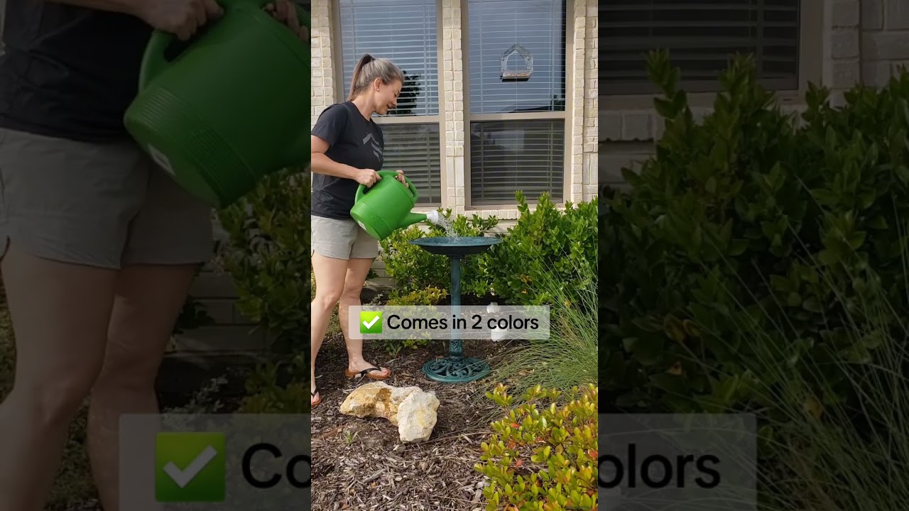 Bougie (and Affordable) Garden Upgrade #birdbath #waterfountain