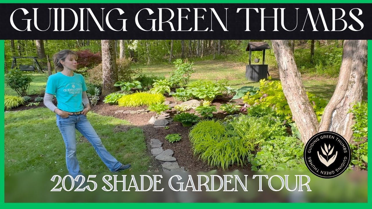 2025 Shade Garden Tour // Patio Garden Tour