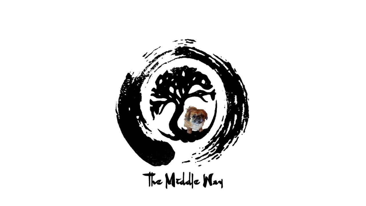 Magic (original version - Alan Watts)