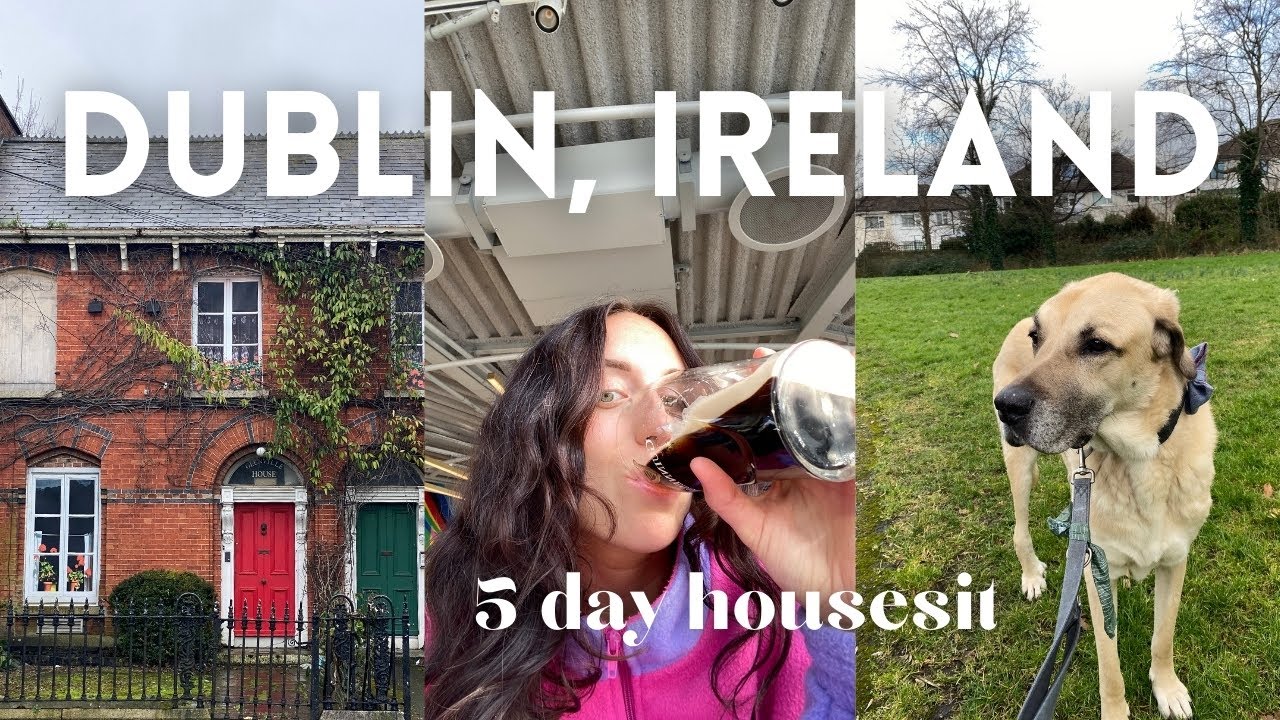 5 DAYS IN DUBLIN 🇮🇪 First Impressions | Petsitting