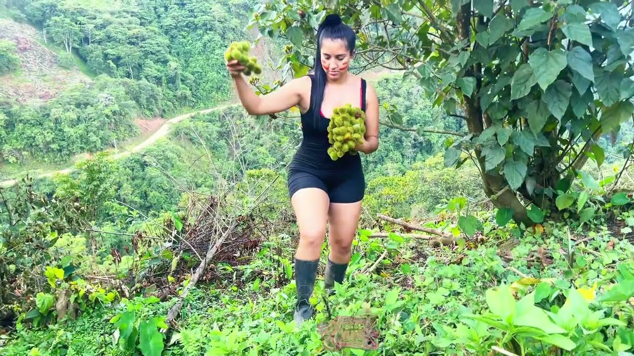 Recogiendo achiote del campo para hacer aliño casero 