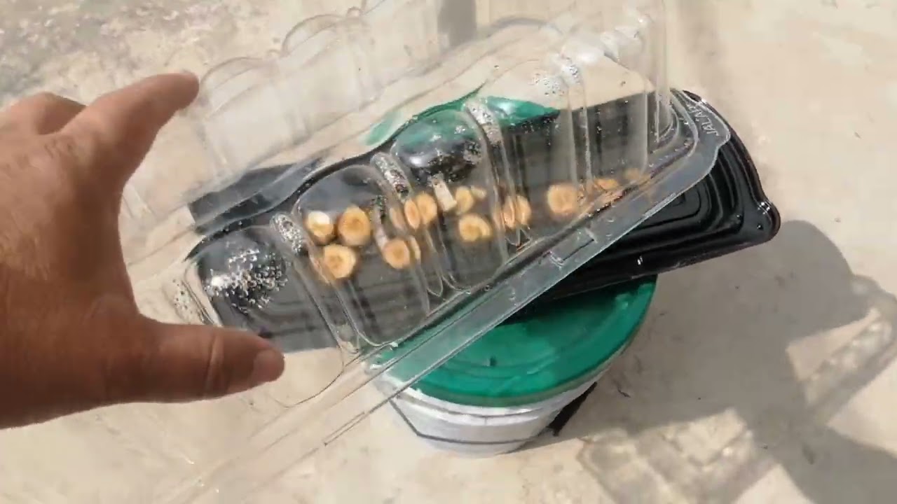 DESHIDRATADOR SOLAR CASERO.