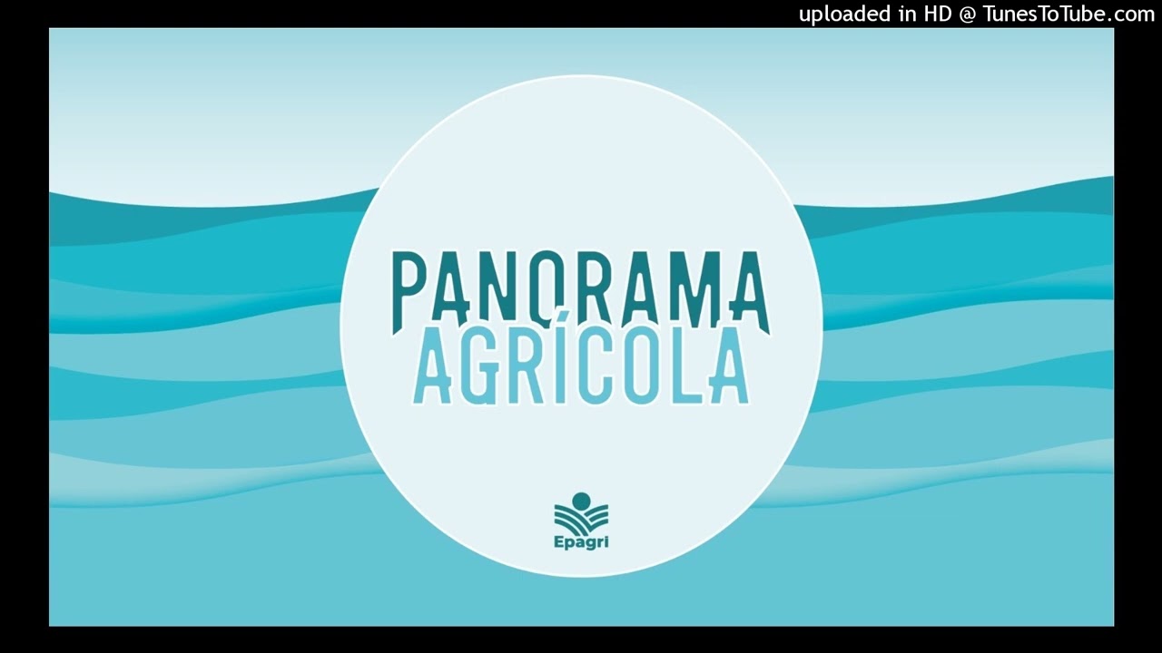 11 de fevereiro - A força da ação coletiva na valorização de produtos e saberes locais | Parte 12026