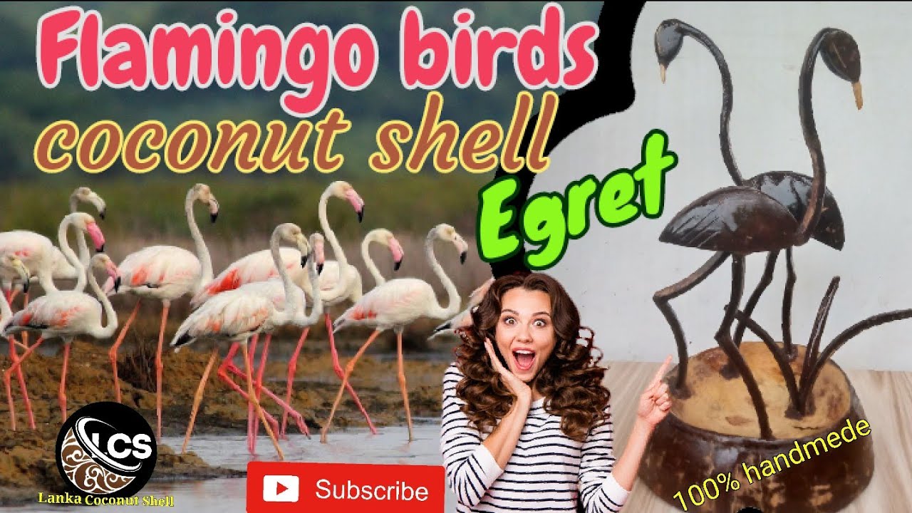 flamingo birds coconut shell 🌴🥥 egrets  #coconuttreecraft #flamingo #egrets #diy #handmade #srilanka