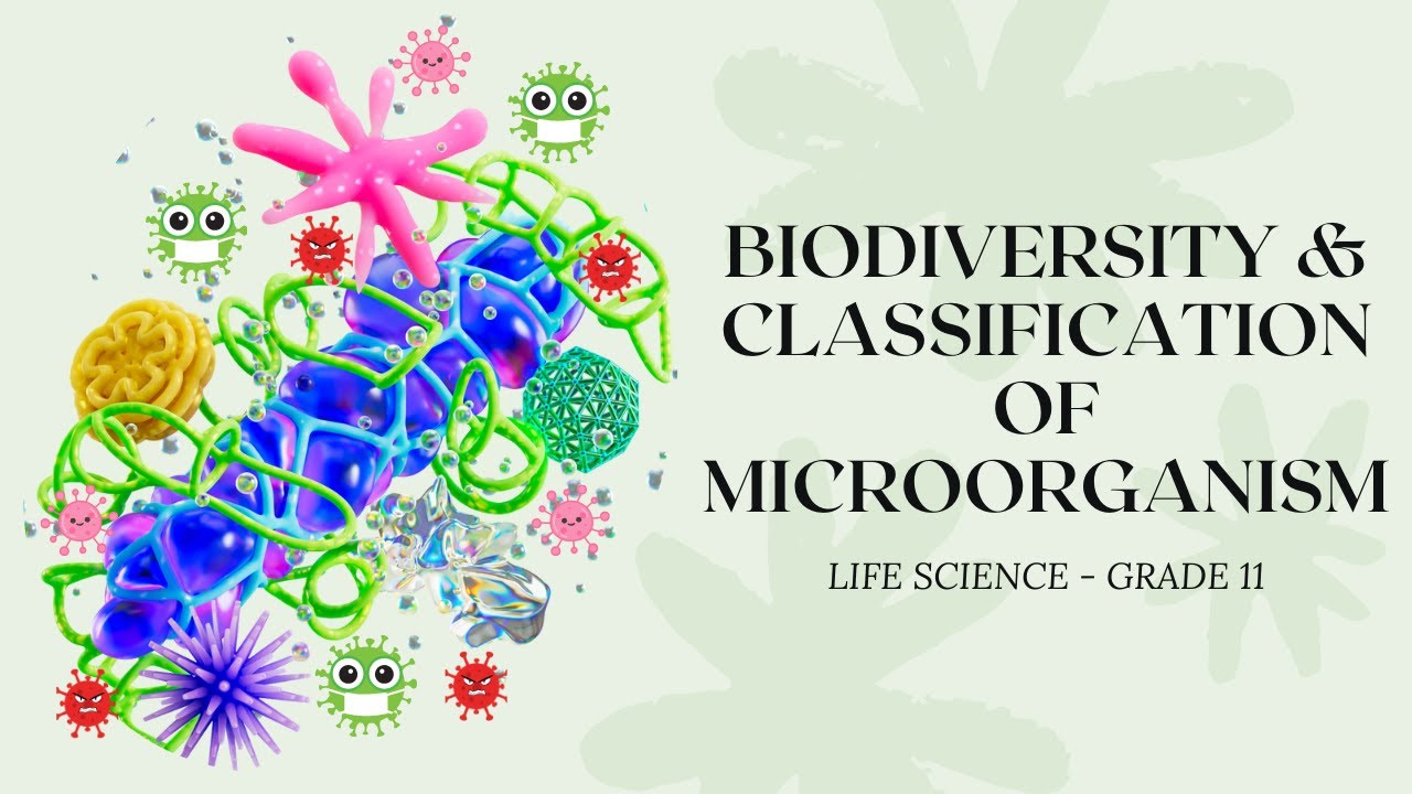 Exploring Life Science: Chapter 1: Biodiversity and Classification of Microorganisms | Grade 11