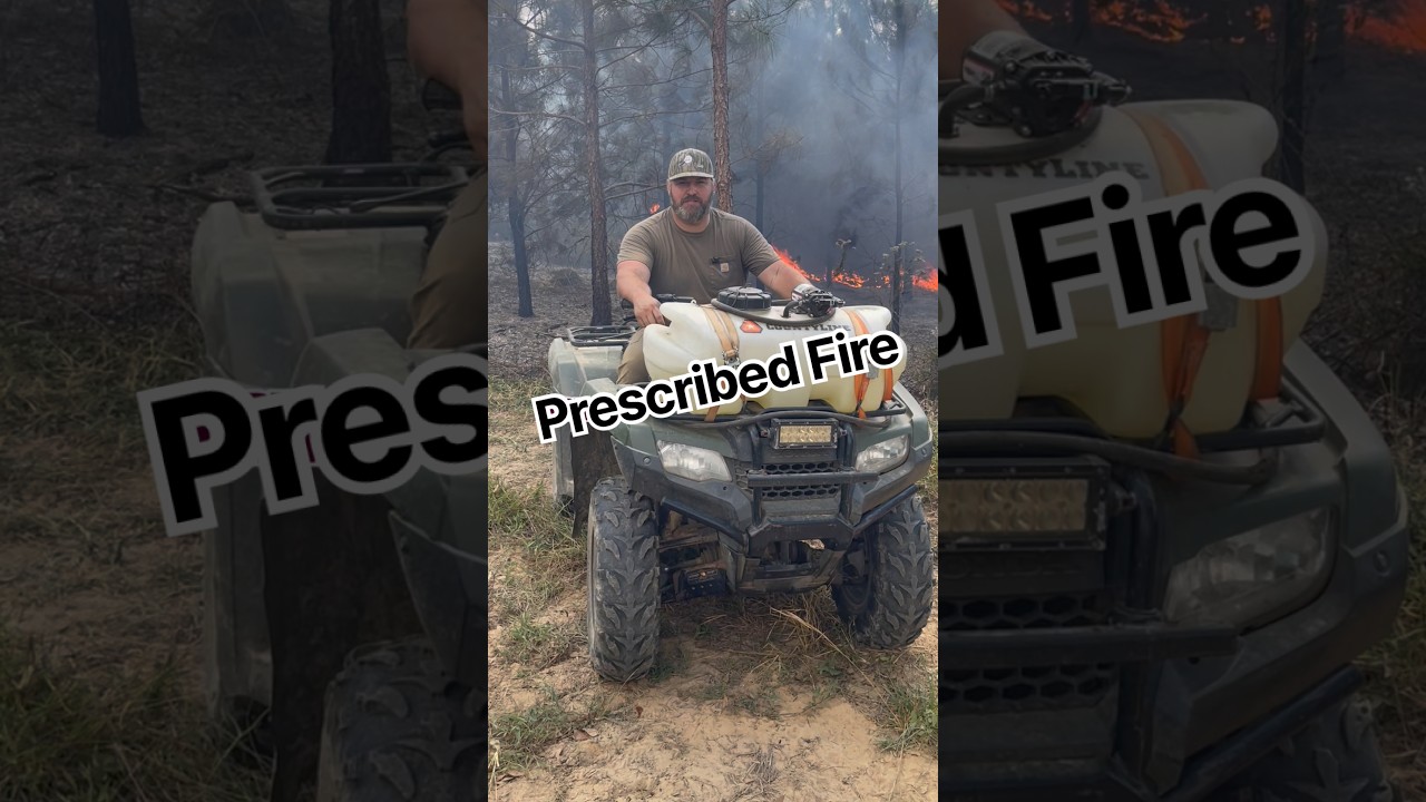 Prescribed Fire