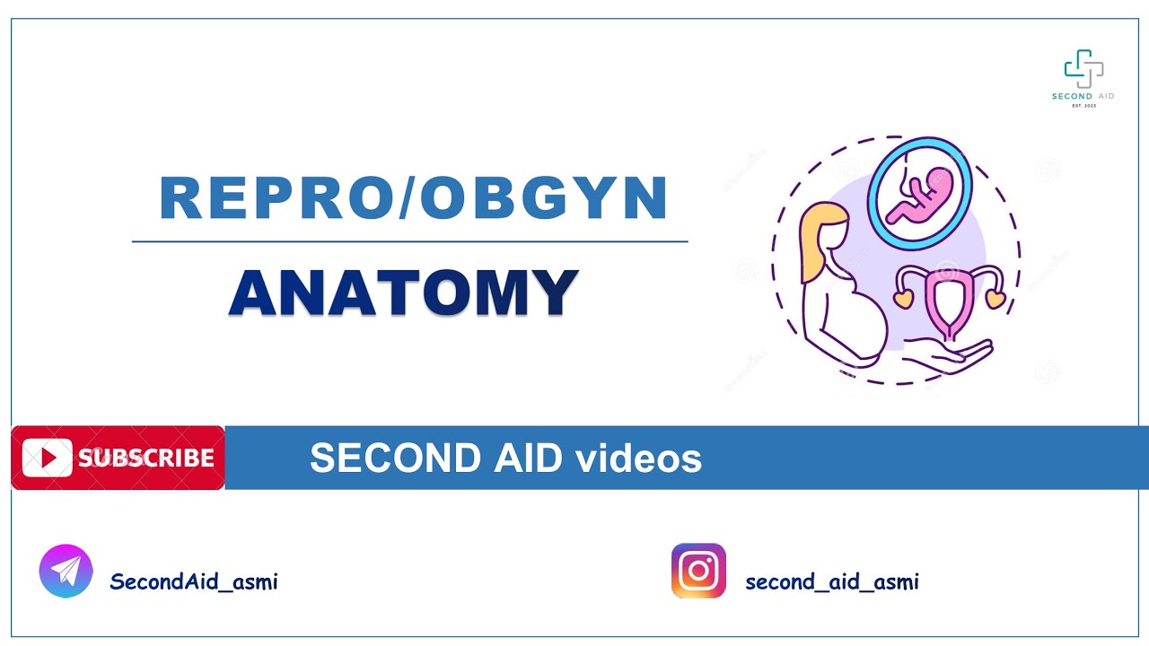Anatomiya. Part I - Ayollar