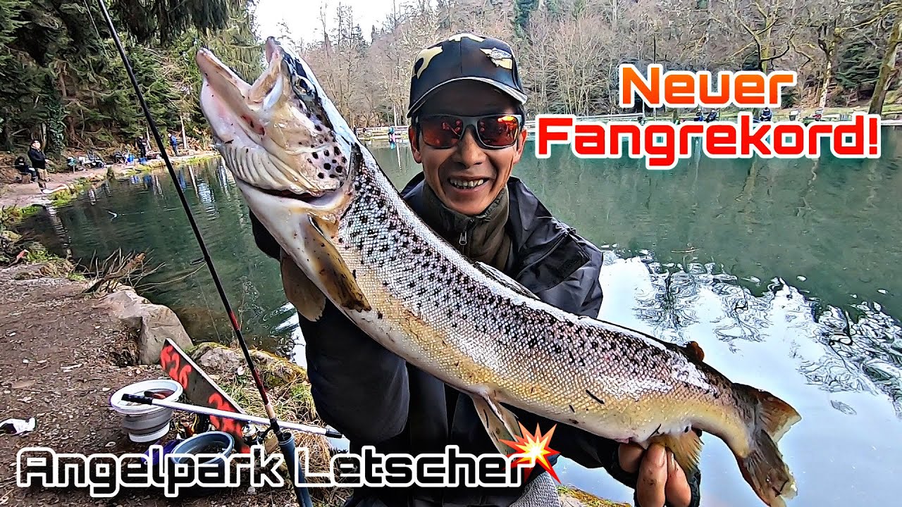 MONSTERFISCH SCHOCKT ANGLER !