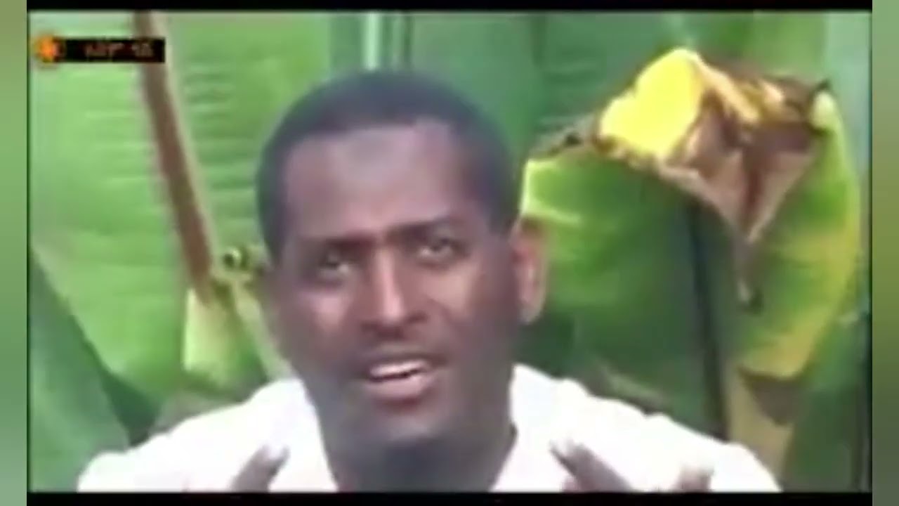 Mohammed sirgaga official tube አበጋዝቻይ ሄቦ